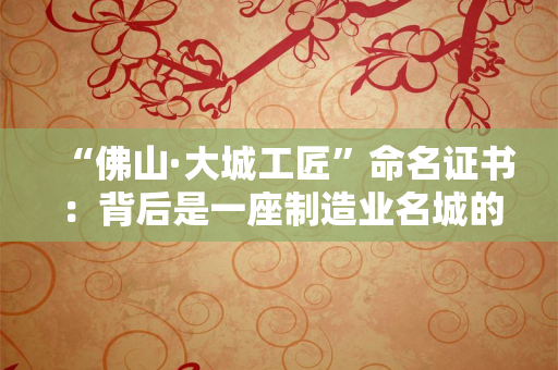 苏州“苏城码”应用开发者安全认证证书：数字防疫背后的技术安全逻辑与行业启示