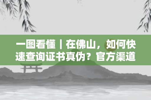 苏州见义勇为先进个人荣誉证书怎么认定？官方标准、申报流程与典型案例全解析